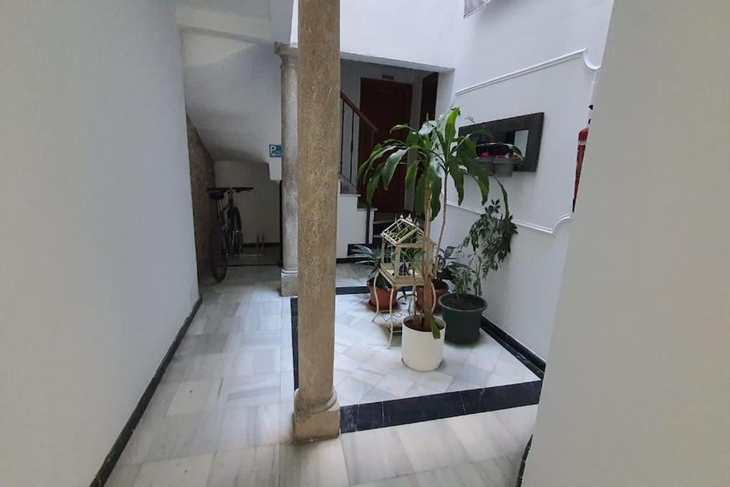 Aloja T Elvira Apartment Granada Exterior foto